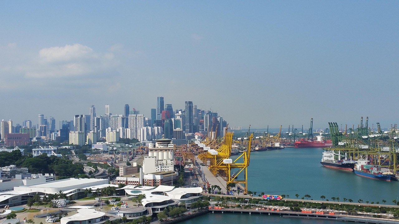 Skyline en containerhaven van Singapore